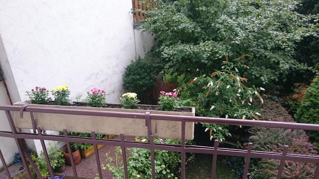 Apartament Avi Goodhouse Düsseldorf